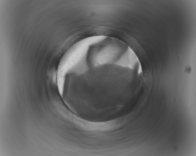 X0000112820046200909111333