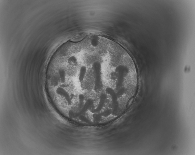 X0000112820049200909111332