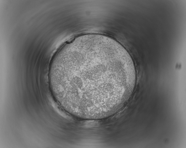 X0000112820050200909111332