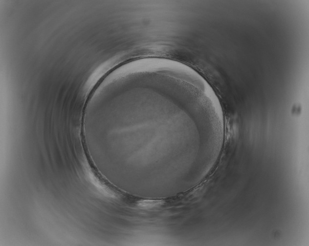 X0000112820051200909111332