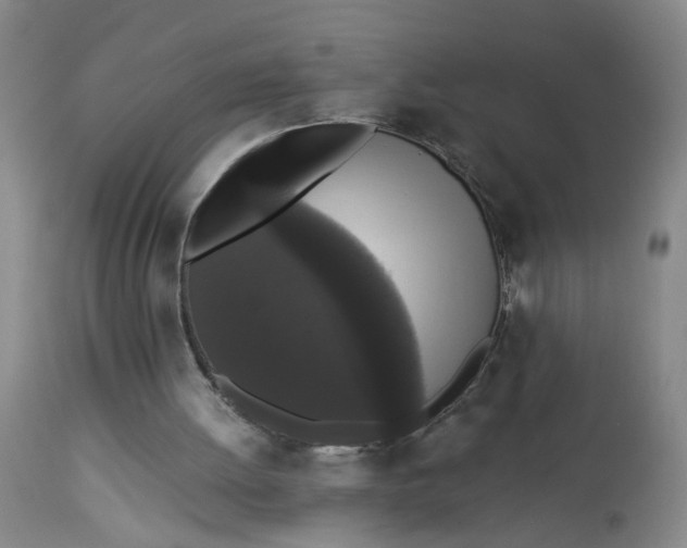 X0000112820052200909111332