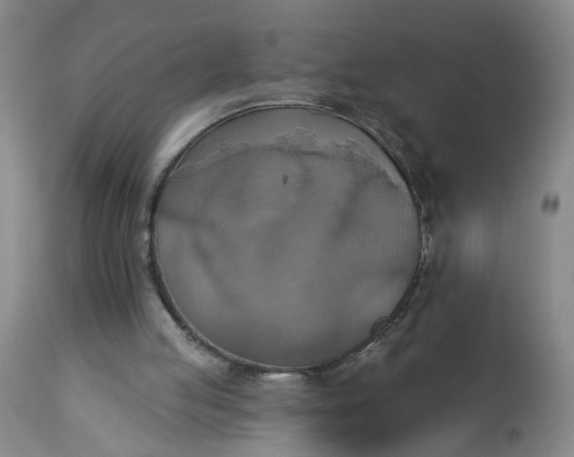 X0000112820053200909111332