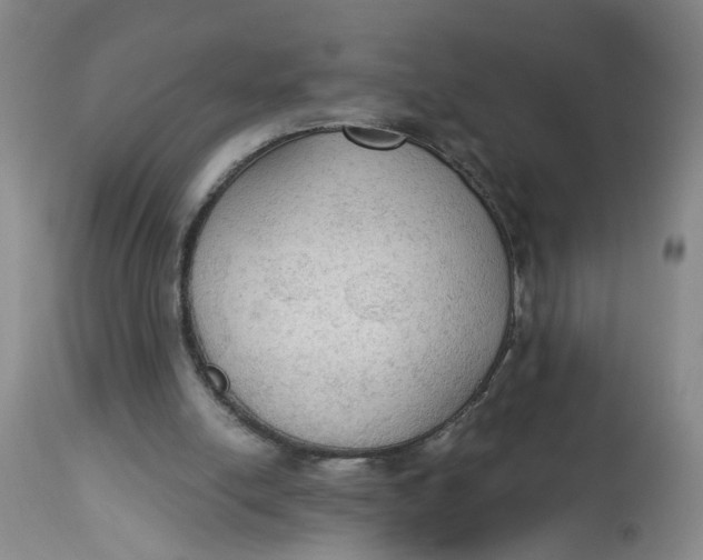 X0000112820054200909111332