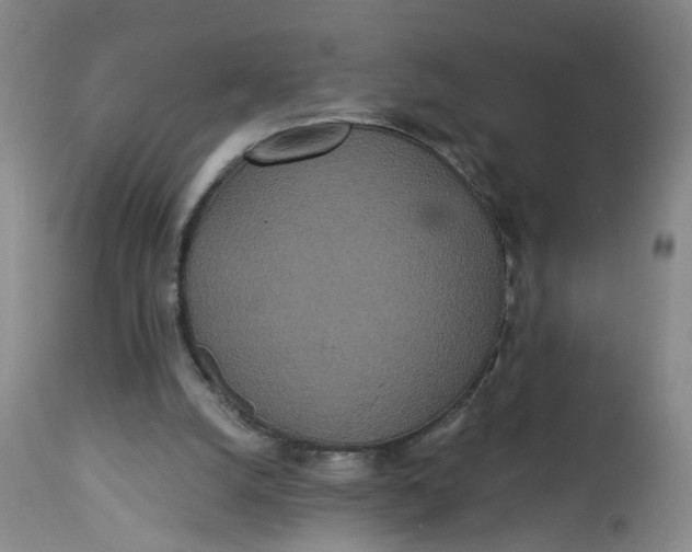 X0000112820056200909111332