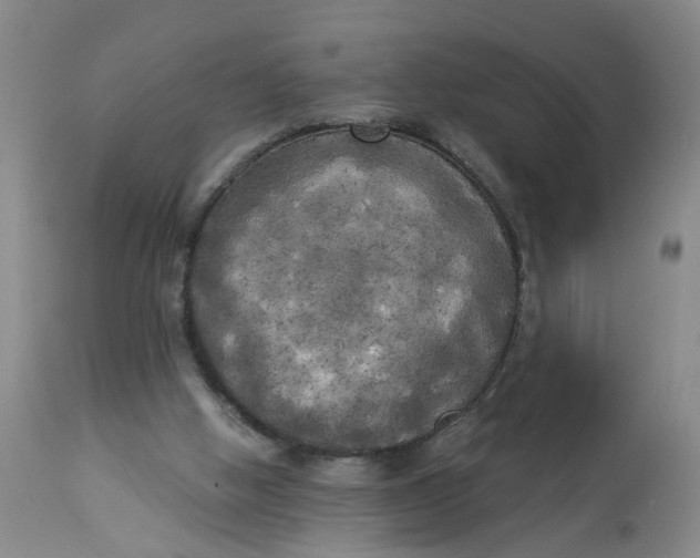 X0000112820058200909111332