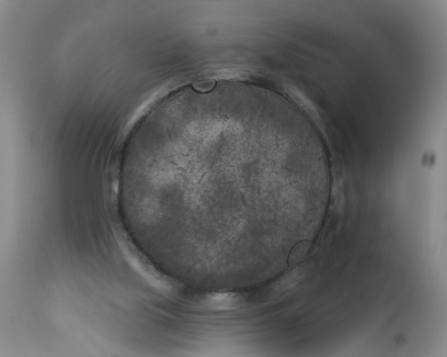 X0000112820059200909111332