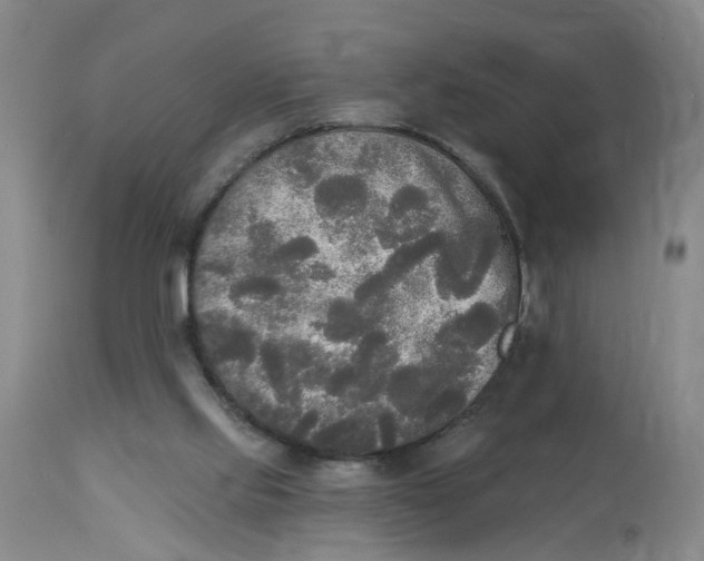 X0000112820061200909111332