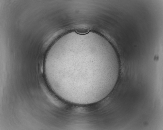 X0000112820062200909111332