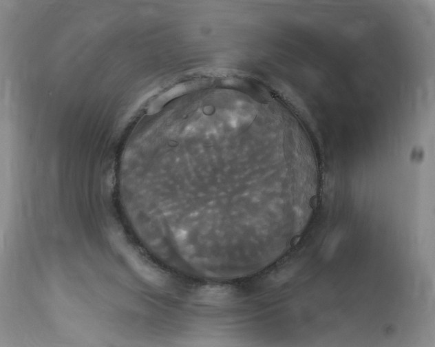 X0000112820063200909111332