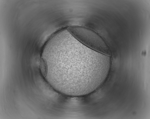 X0000112820064200909111332