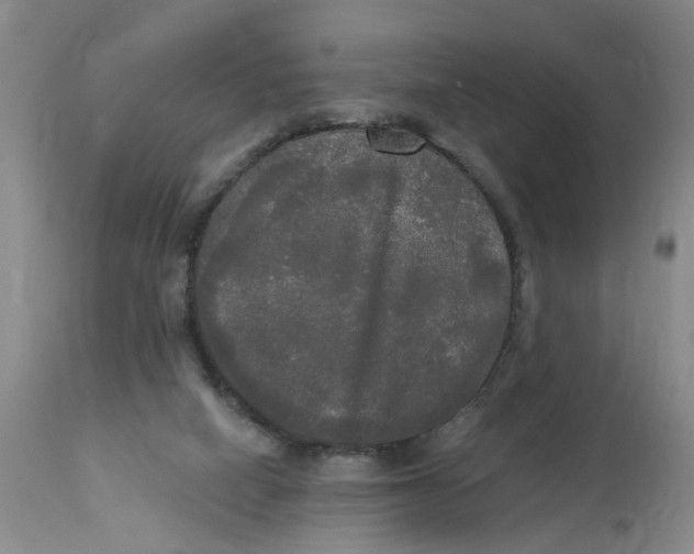 X0000112820066200909111332