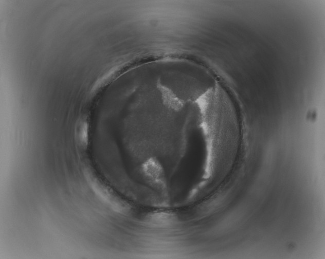 X0000112820067200909111332