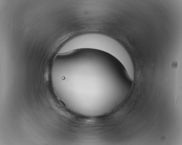 X0000112820068200909111332