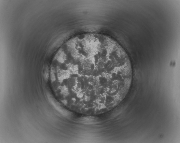 X0000112820069200909111332