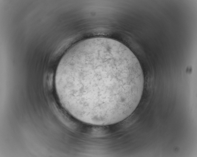 X0000112820070200909111333