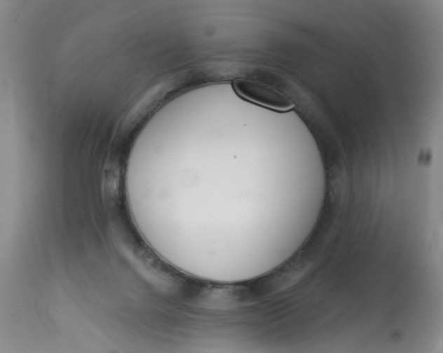 X0000112820072200909111333