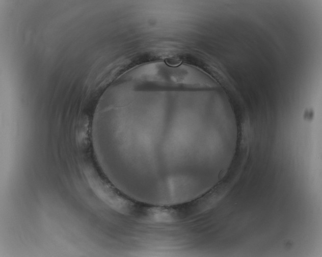 X0000112820073200909111333