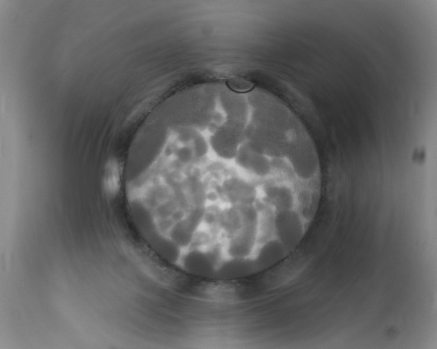 X0000112820075200909111333