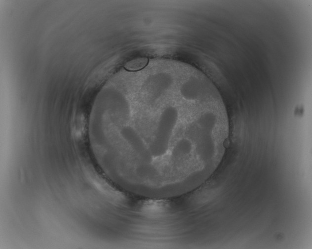 X0000112820077200909111333