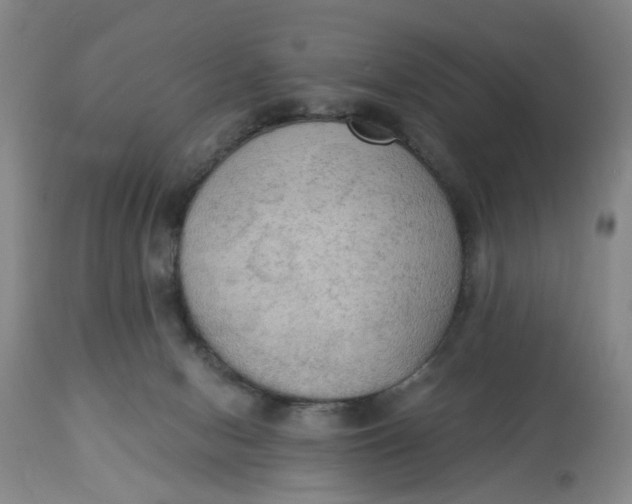 X0000112820078200909111333