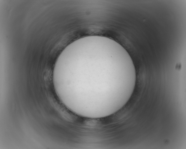 X0000112820079200909111333