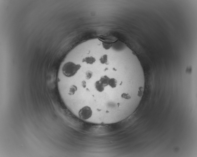 X0000112820082200909111333