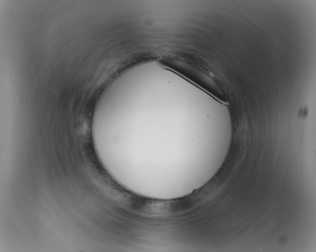 X0000112820084200909111333