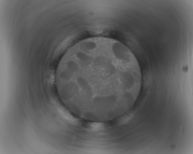 X0000112820085200909111333