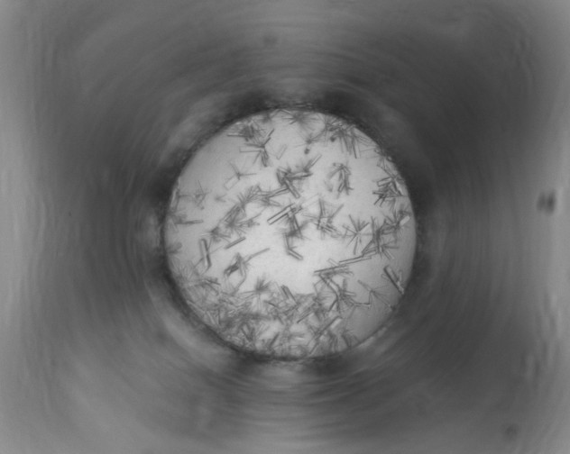 X0000112820086200909111333