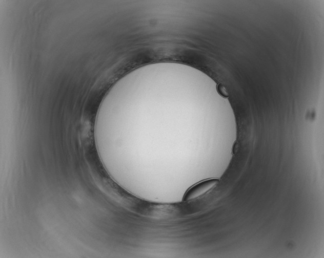 X0000112820087200909111333