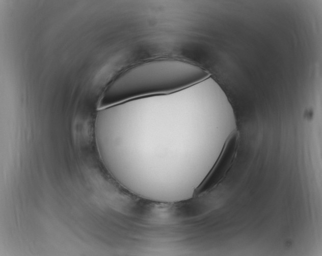 X0000112820088200909111333