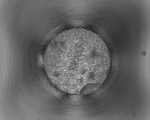 X0000112820089200909111333