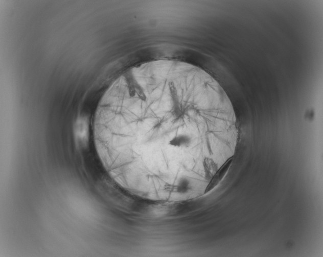 X0000112820094200909111333