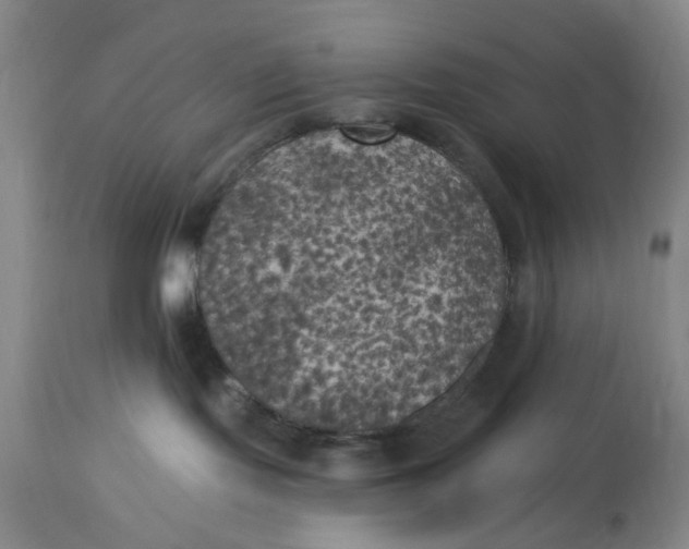 X0000112820095200909111333