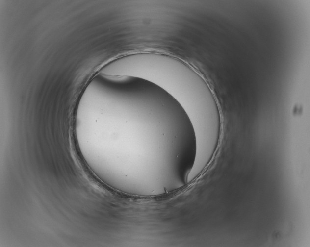 X0000112820097200909111332