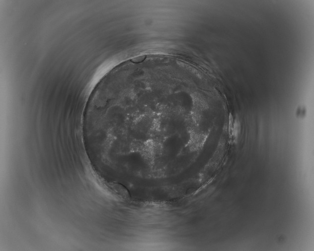 X0000112820099200909111332