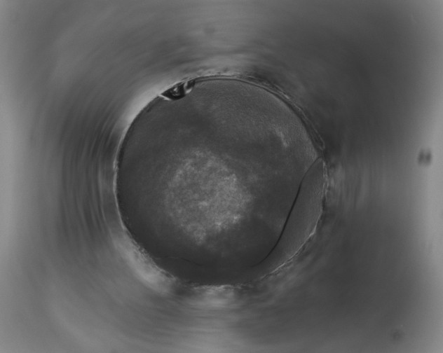 X0000112820100200909111332