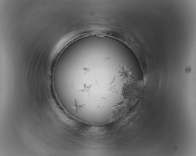 X0000112820101200909111332