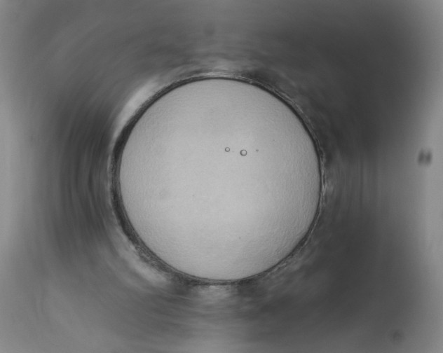 X0000112820102200909111332