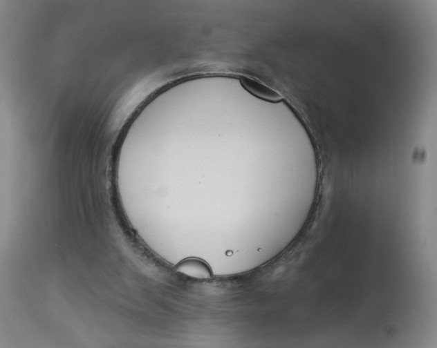 X0000112820103200909111332