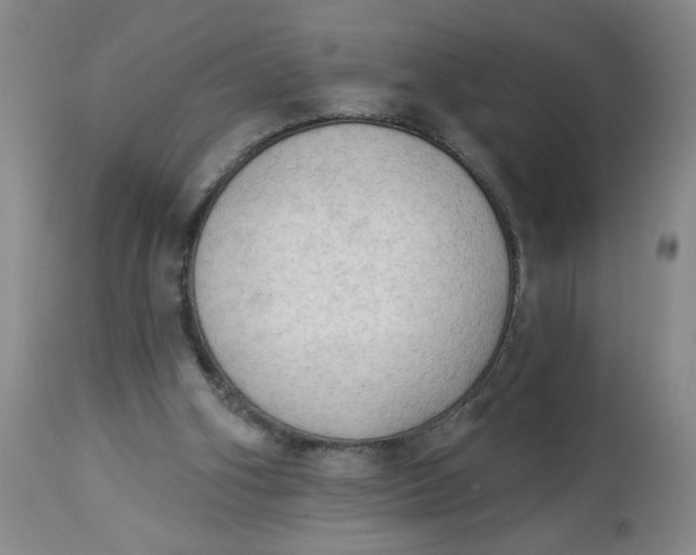 X0000112820106200909111332