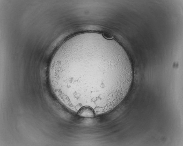 X0000112820111200909111332