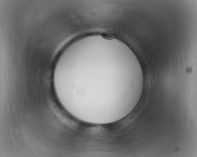 X0000112820112200909111332