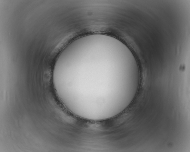 X0000112820113200909111332