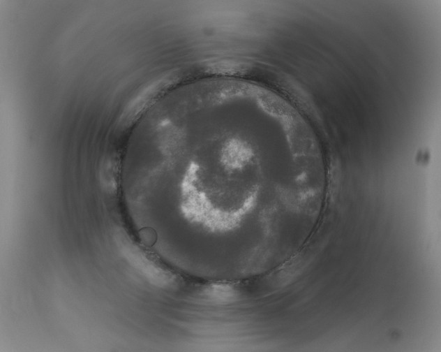 X0000112820114200909111332