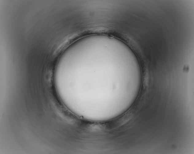 X0000112820115200909111332