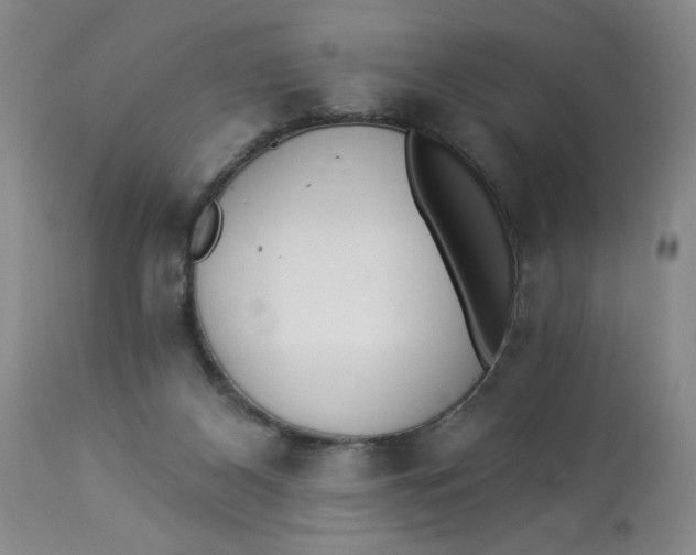 X0000112820116200909111332