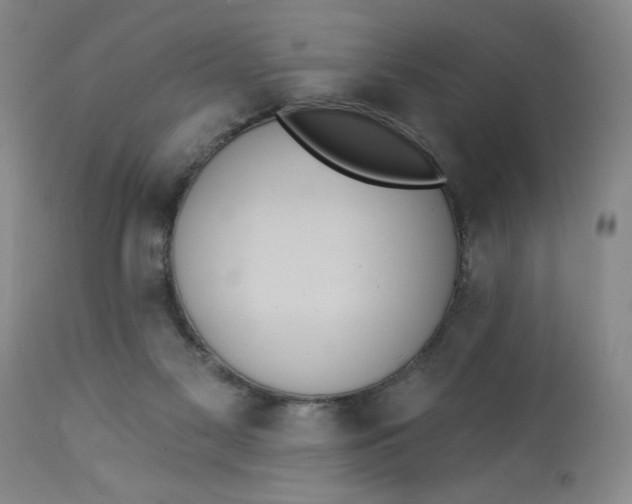 X0000112820117200909111332