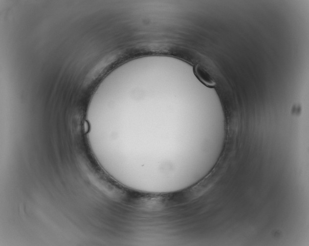 X0000112820120200909111332