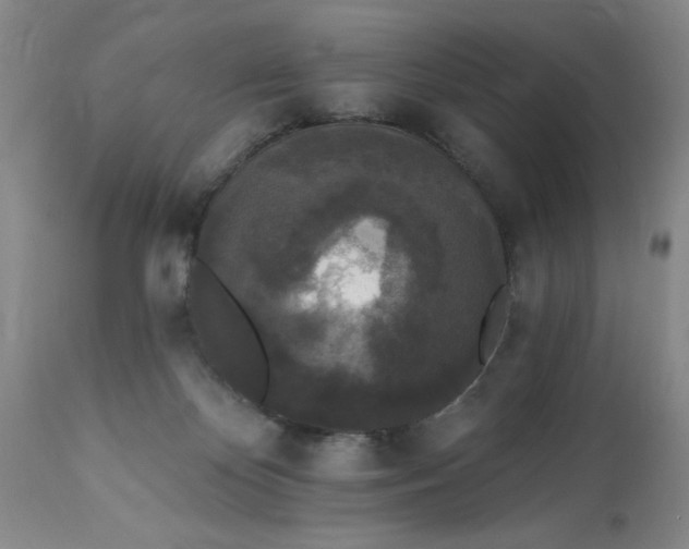 X0000112820124200909111332